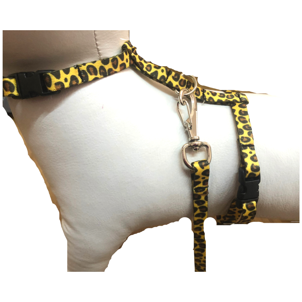 Conjunto Peitoral Pra Gato Coelho Ajustável Com Guia Longa