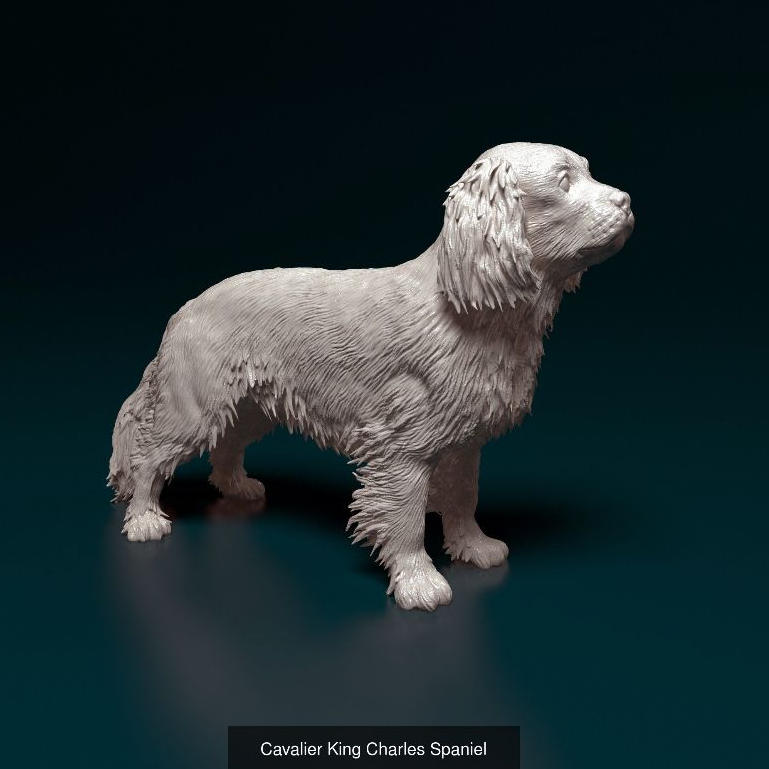 Miniatura Cavalier King Charles Spaniel  - Decoração - Estátua de Cachorro