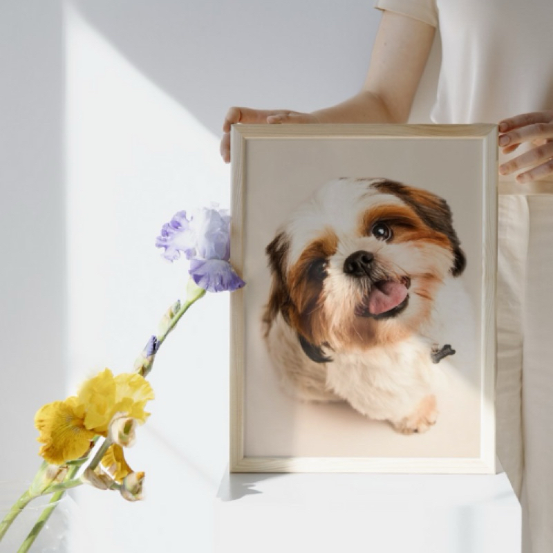Quadro Decorativo Peça Única 20x30cm Cachorrinho Pet Shi Tzu - Decoração Placa Mdf Com Moldura