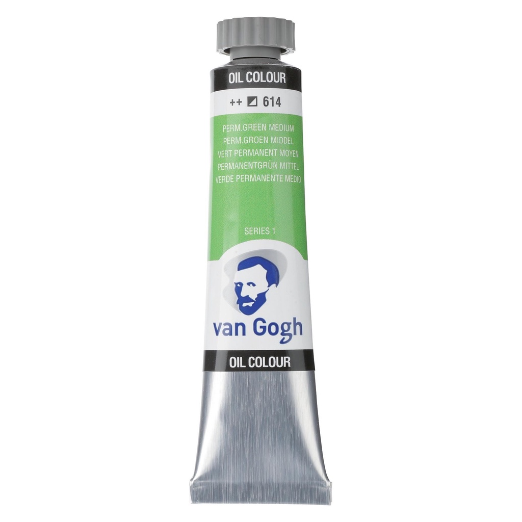 OLEO TALENS VAN GOGH 20ML 613 PERMANENT GREEN MEDIUM