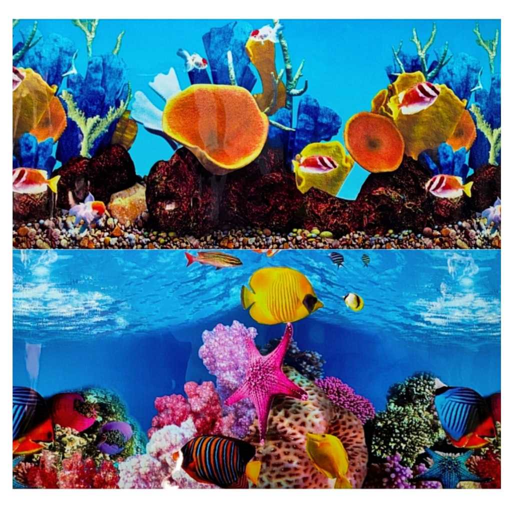 Painel Para Aquarios 60cm X 50cm Enfeite Ornamento Aquario Dupla Face Agua Doce Marinho Peixe Corais
