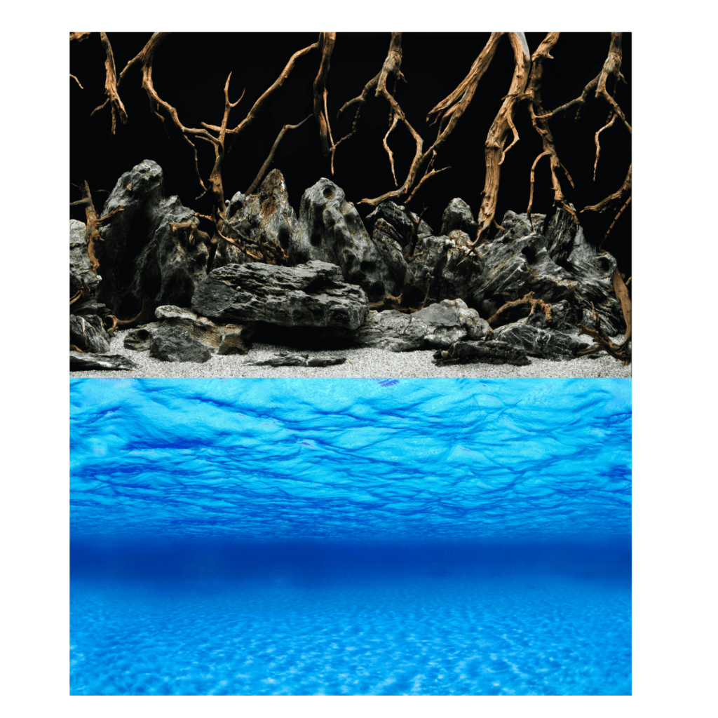 Painel Para Aquarios 60cm X 40cm Papel De Fundo Do Mar Agua Doce Marinho Ciclideos Terrario Tartaruga Serpente Repteis Enfeite Ornamento