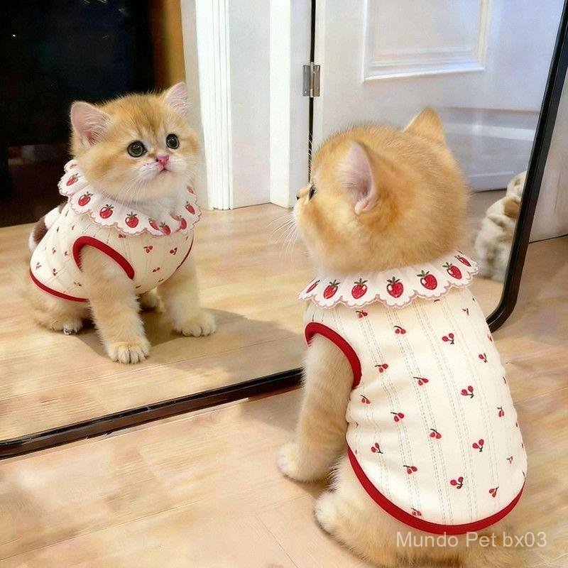 Roupa para animais de estimação, colete de renda para gatos, estampa super fofa de cerejas, tecido degradê, respirável e
