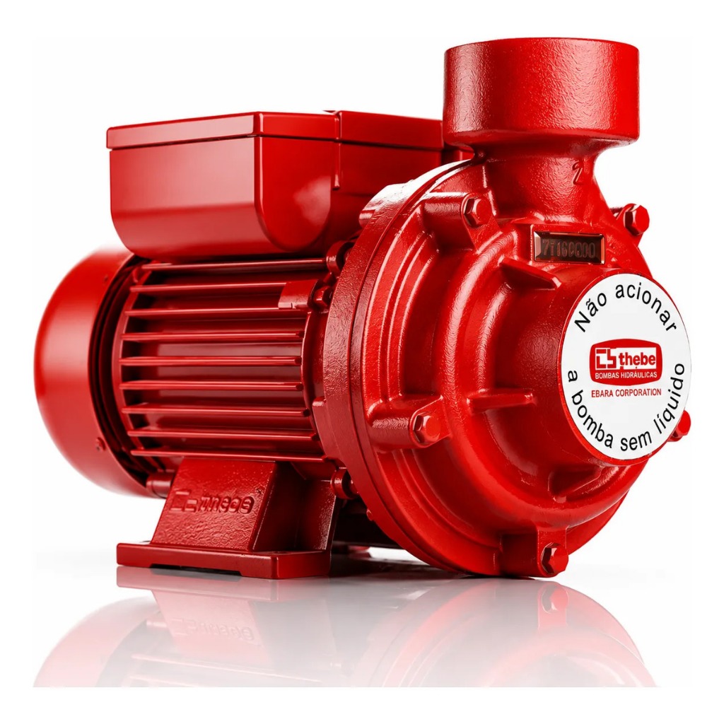 Bomba Centrifuga de Alta Vazão 29.7m³/h 1,0 cv Thebe Thi-13 Monofásica 127/220-254v