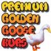 68955f2f18814.png