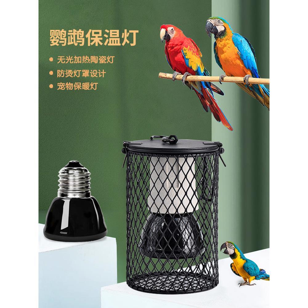 Papagaio lâmpada de aquecimento Xuanfeng peônia jovem pássaro Ludding frango aquecimento lâmpada cerâmica papagaio inver