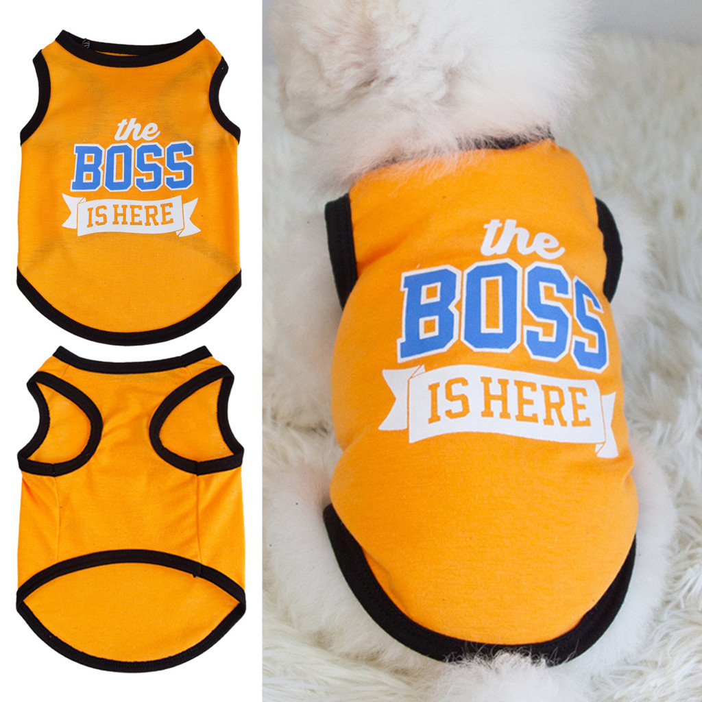 Two-legged Dog Clothes Summer Pet Vest T-shirt for Small Dogs – Ultra-thin Breathable Outdoor with Cute Letter Printin
