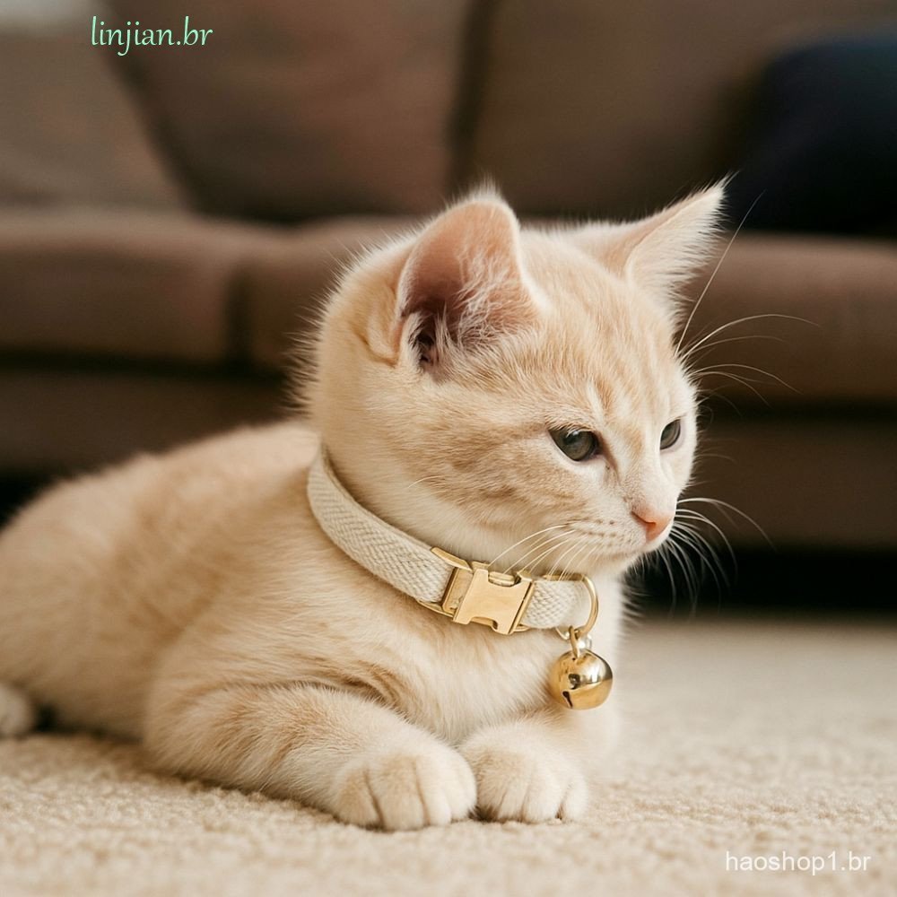 Colar De Gato LINJIAN , Coleira De Cor Sólida Ajustável Com Sino , Etiqueta De Nome De Identificação De Animal De Estima