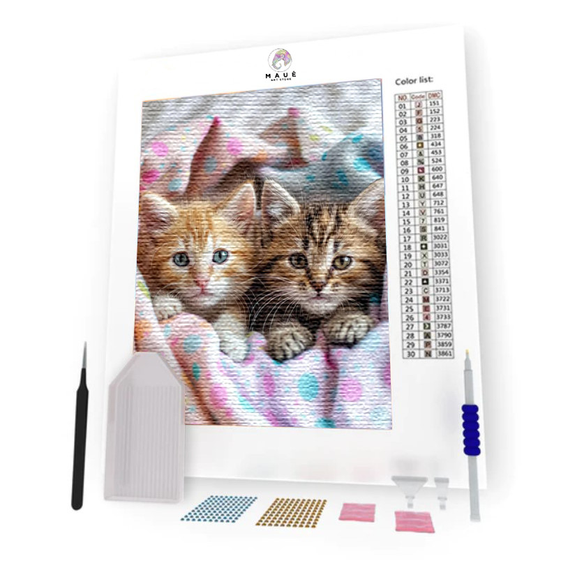Kit Pintura Diamante - Filhotes de Gatos no Cobertor