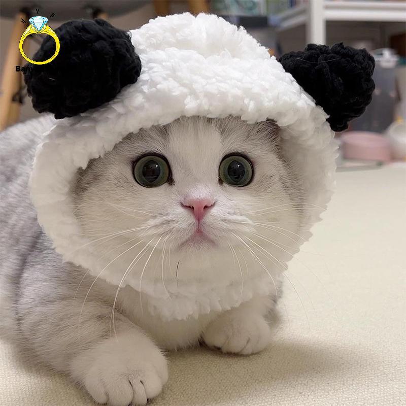 [BANY] Kitty Chapéu Chi Pet Chapelaria Panda Urso De Cachorro Arrastar Internet Celebridade Transfronteiriça Bom