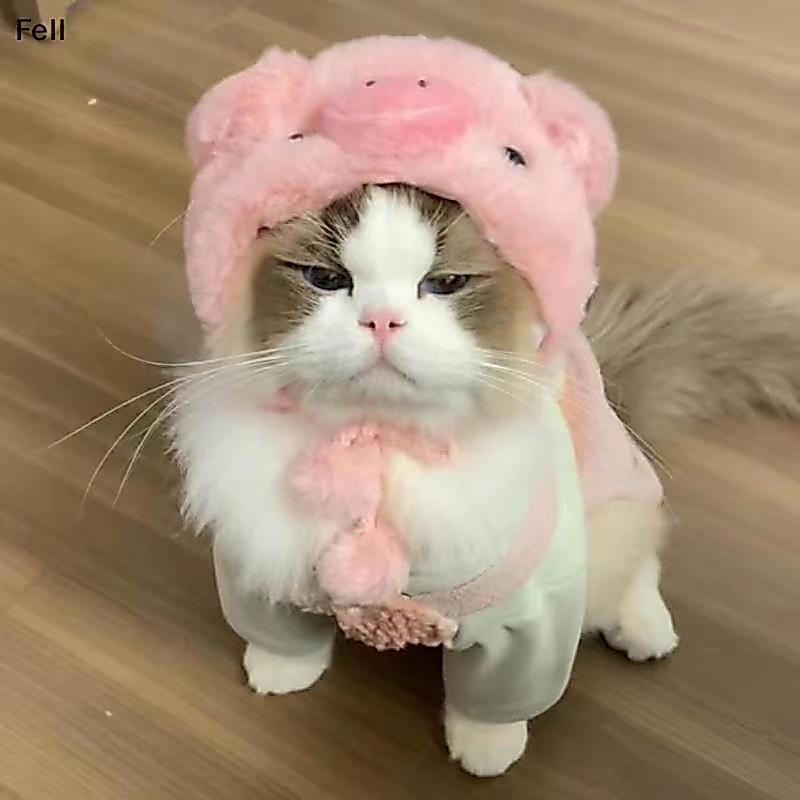 [Fel] Kitty Chapéu Chi Pet Chapelaria Panda Urso De Cachorro Arraste Internet Celebridade Transfronteiriça Venda Quente