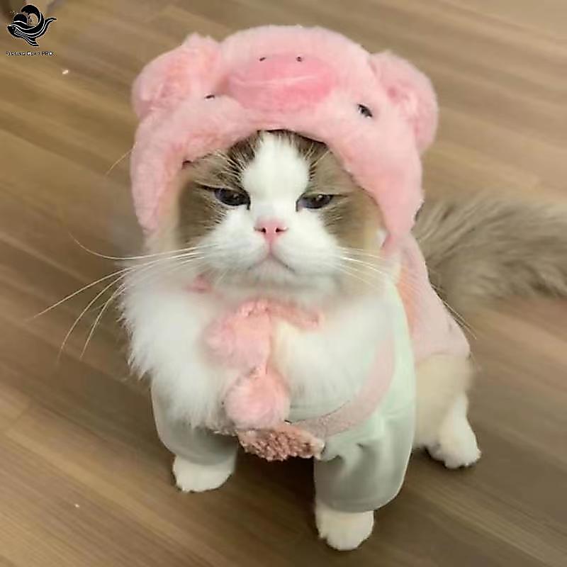 PFG Kitty Chapéu Chi Pet Chapelaria Panda Urso Cão Arrastar Internet Celebridade Cross-border FG