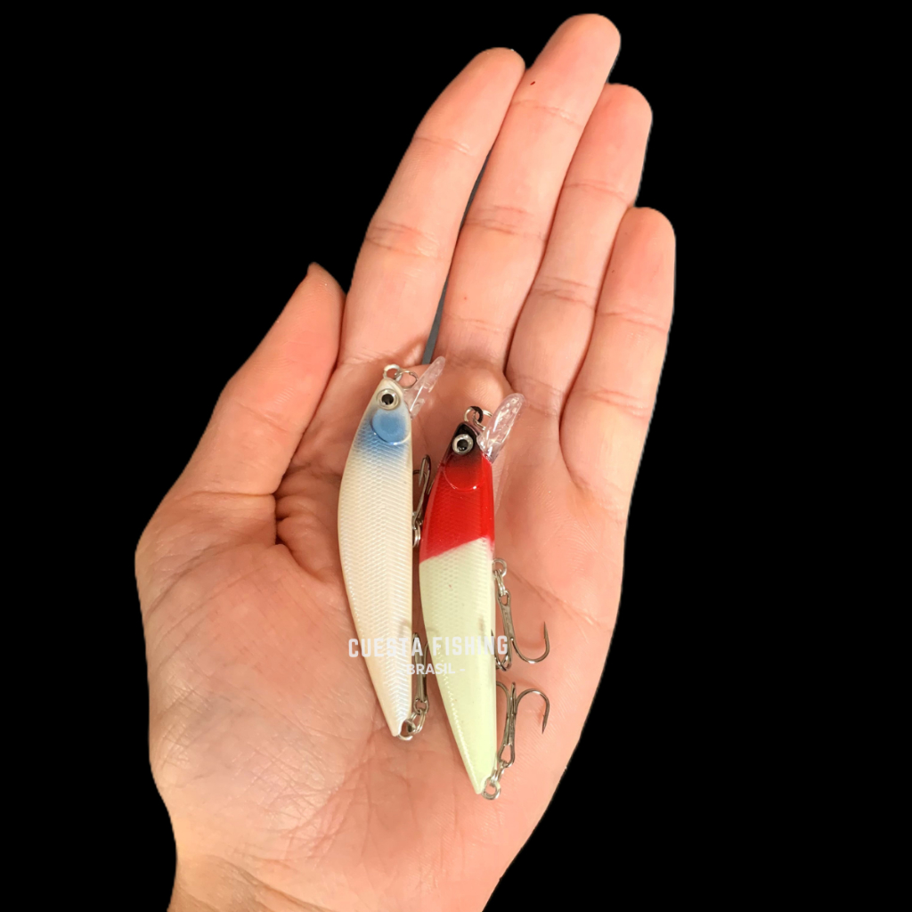 Kit 2 Iscas Artificiais Meia Agua 6,5cm 7,5g Estilo Inna Traira Tucunare Peixes Predadores