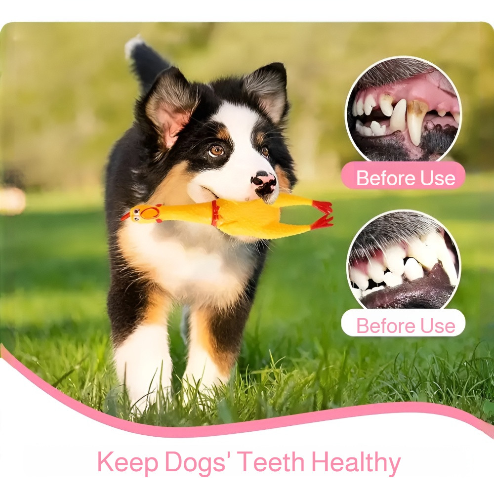 [Durável E Divertido] Kit De Brinquedos Para Cachorro/Brinquedo Sonoro/Brinquedo Interativo Para Treino E Diversão