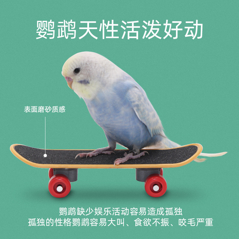 Papagaio brinquedos pássaro brinquedos Scooter tédio alívio treinamento adereços acompanhamento educacional Xuanfeng peô