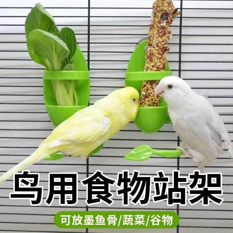 Novo estilo papagaio pássaro choco esqueleto caixa de comida pele de tigre peônia Xuanfeng frutas vegetais forrageamento