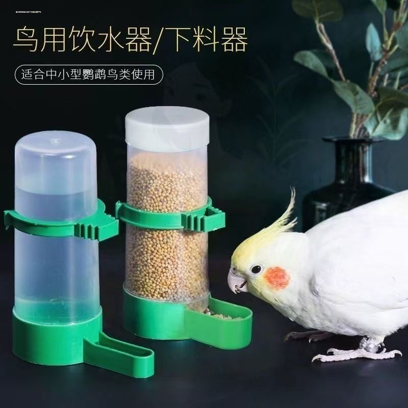 Fonte potável para pássaros, alimentador automático de água, tigre, peônia, Xuanfeng, bebedouro, suprimentos para pássar
