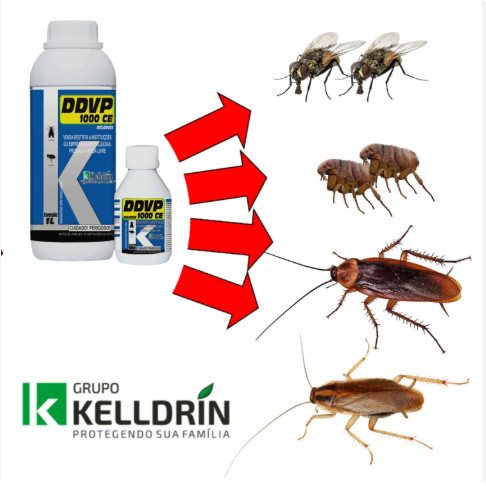 KELLDRIN DDVP 1000 CE 1 Litro Eficaz contra Baratas, Formigas, Pulgas e Moscas - KELLDRIN
