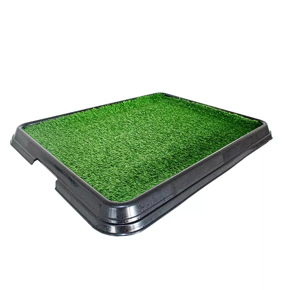 Sanitário Higiênico Xixi Green Black Edition