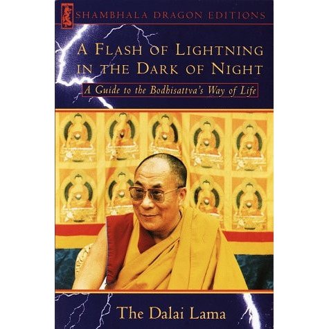A Flash Of Lightning In The Dark Of Night: A Guide To The Bodhisattva's Way Of Life (shambhala Dragon... 8074412