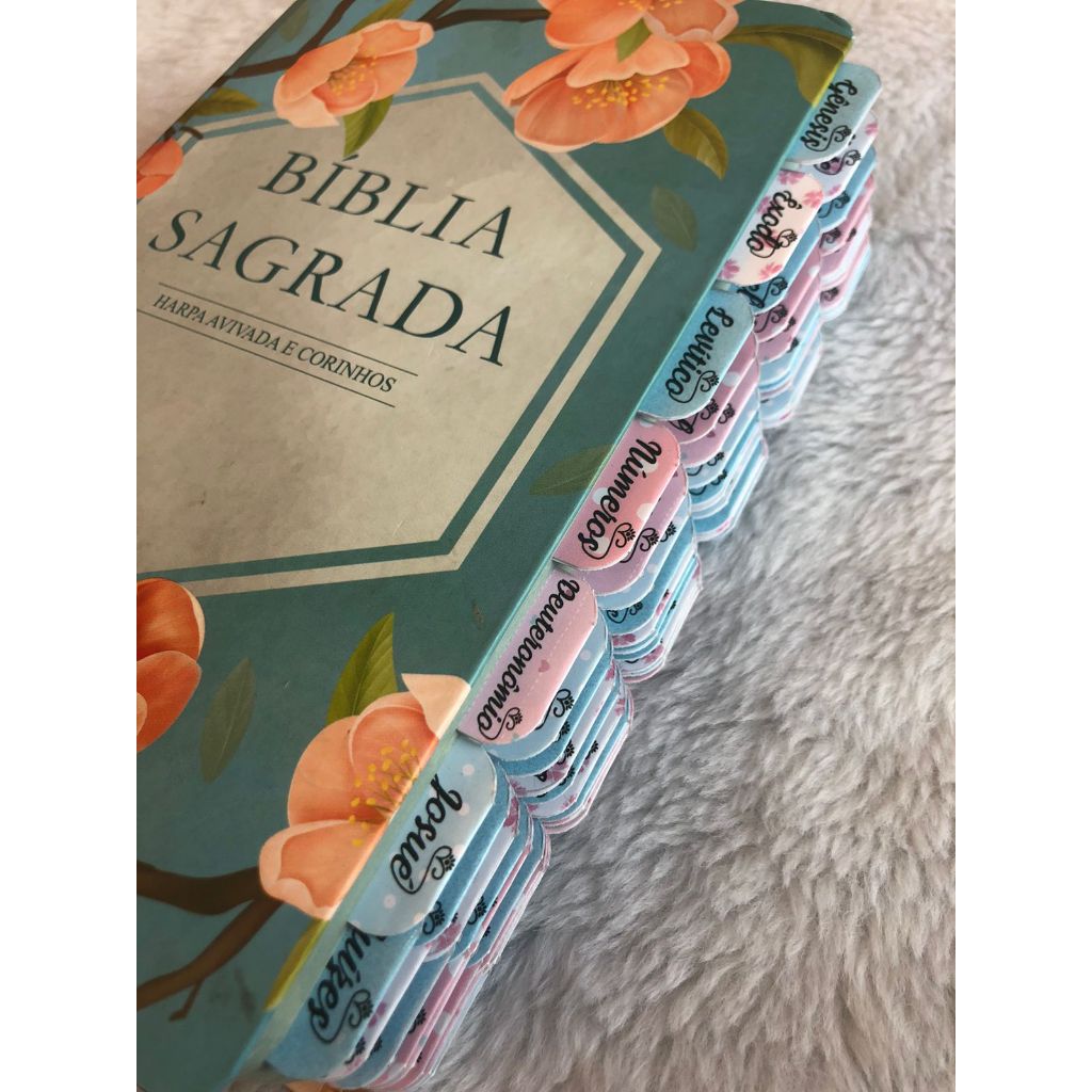66 ABAS INDICE DA BIBLIA DE GENESIS AO APOCALIPSE AZUL E ROSA