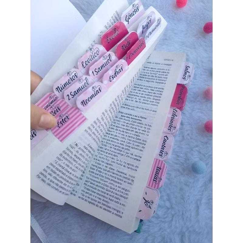 KIT COM 66 ABAS BIBLICAS INDICE DE GENESIS AO APOCALIPSE ROSA