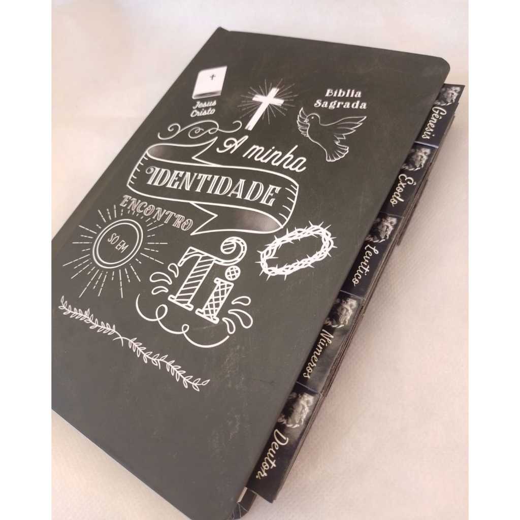 ABA INDICE PARA BIBLIA LEÃO DE JUDA GÊNESIS AO APOCALIPSE