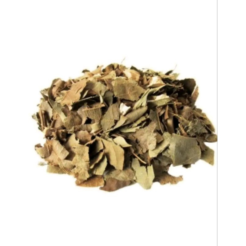 Folhas de Abacate 300 gramas