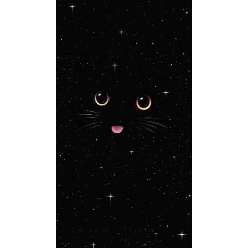 Quadro Decorativo Gato Preto nas estrelas