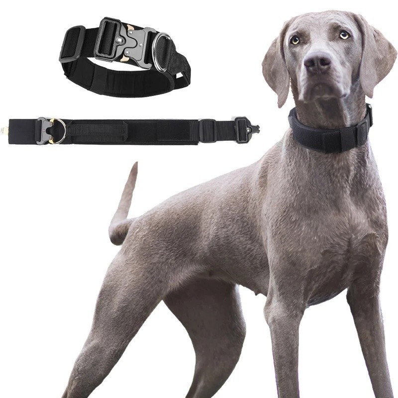 Coleira De Treinamento Para Cães Grandes Mais Recente Com Aderência Médios E Weimaraner Doberman Pinsche