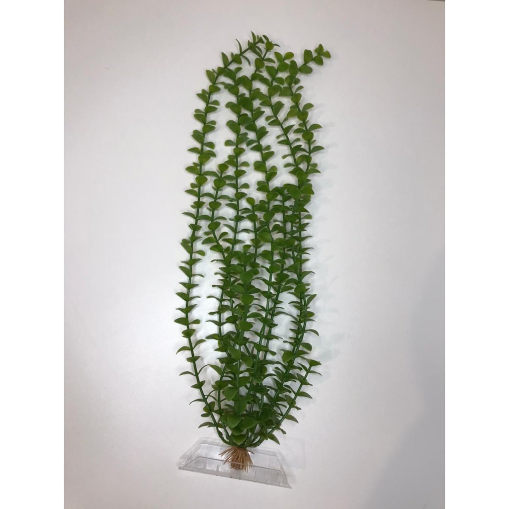 Planta Artificial Plástica Para Aquário Bacopa Green 45cm - Tetra