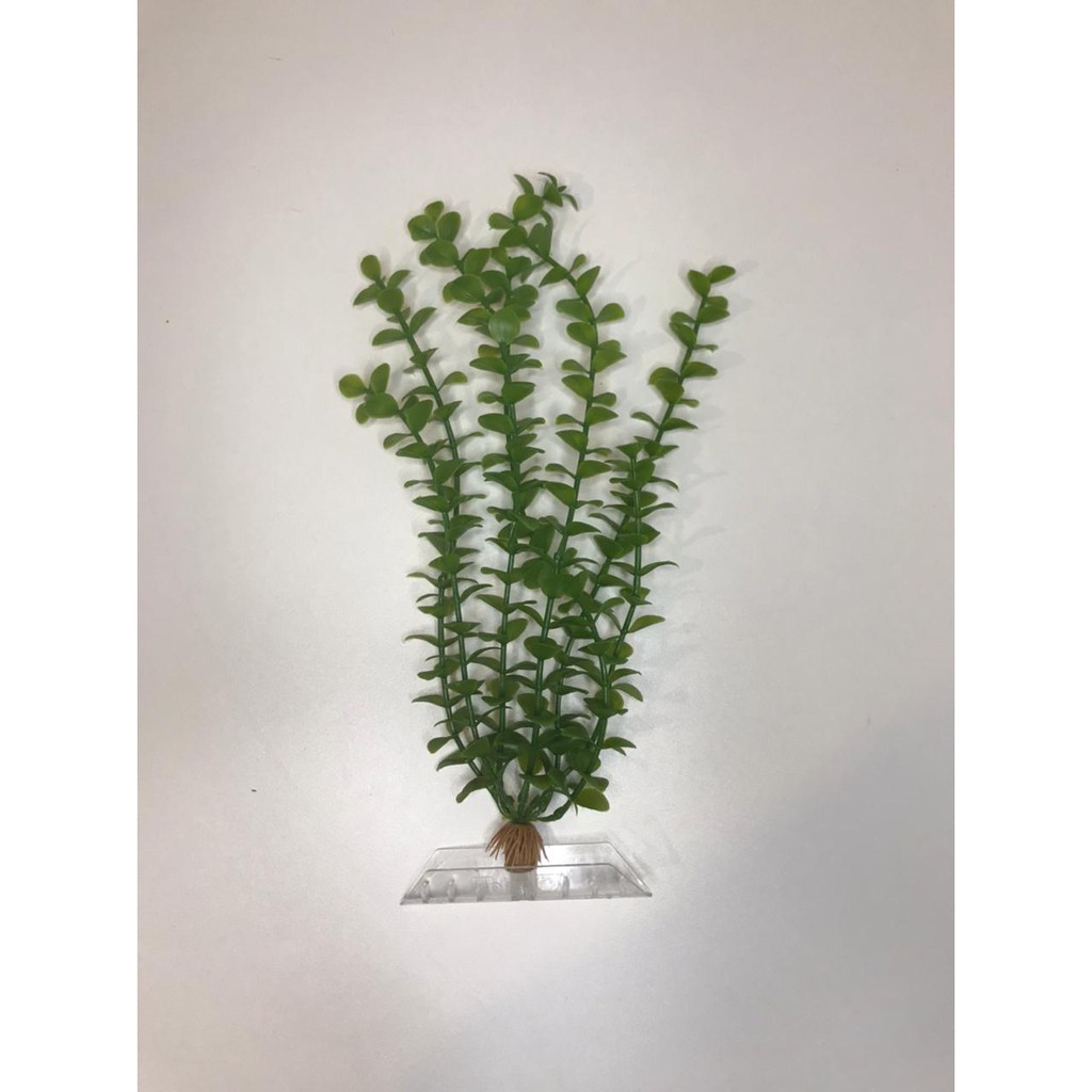 Planta Artificial Plástica Para Aquário Bacopa Green 30cm - Tetra