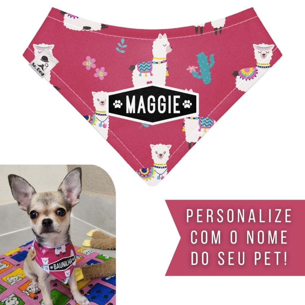 Bandana Pet Personalizada Sr. Dog - Estampa AA01