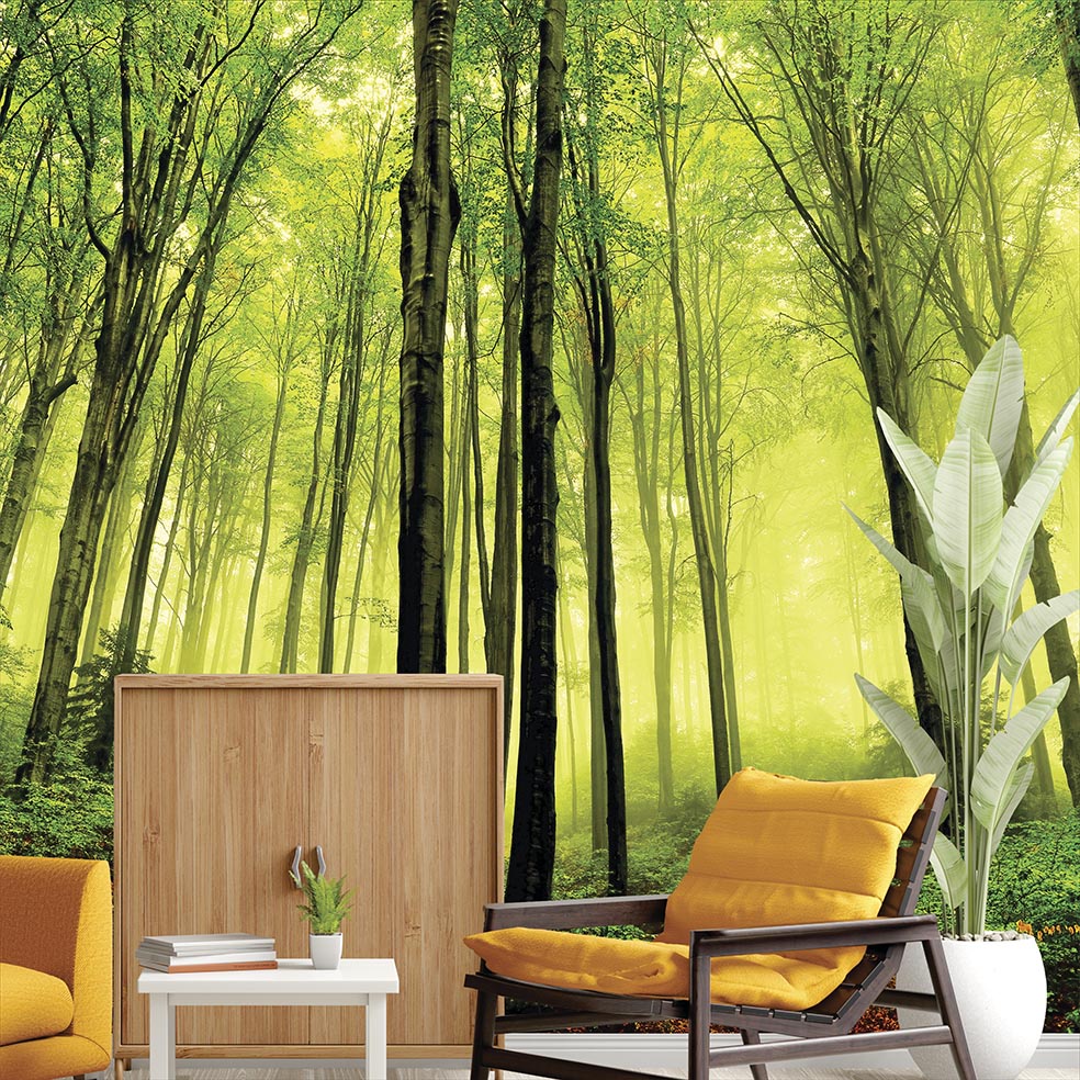 Papel de Parede Floresta Arvores Verdes Foto Mural Personalizada M² Imagem Completa
