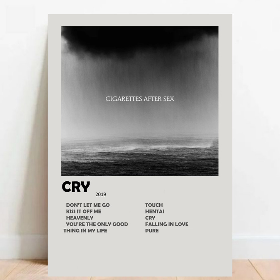 Quadro Placa Decorativa Cigarettes After Sex Cry albuns