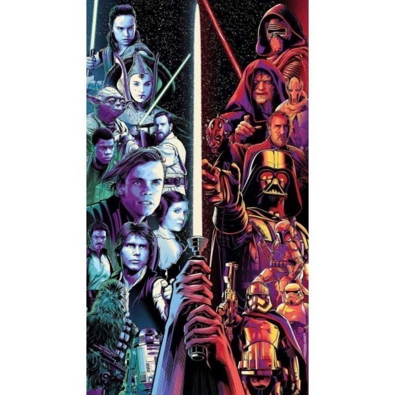 Quadro Decorativo Star Wars placa MDF 20x28