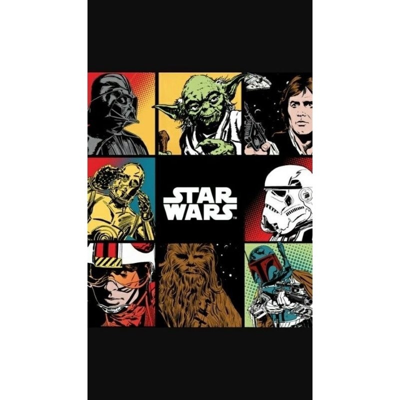 Quadro Decorativo Star Wars