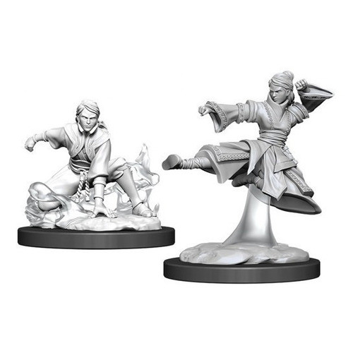 Female Human Monk Nolzur's Marvelous Unpainted Miniatures