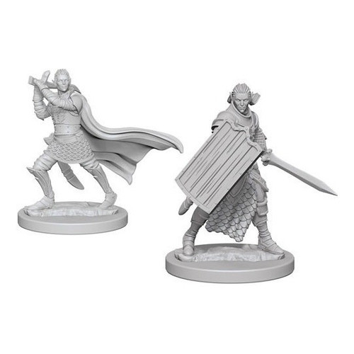 Male Elf Paladin Deep Cuts Unpainted Miniatures