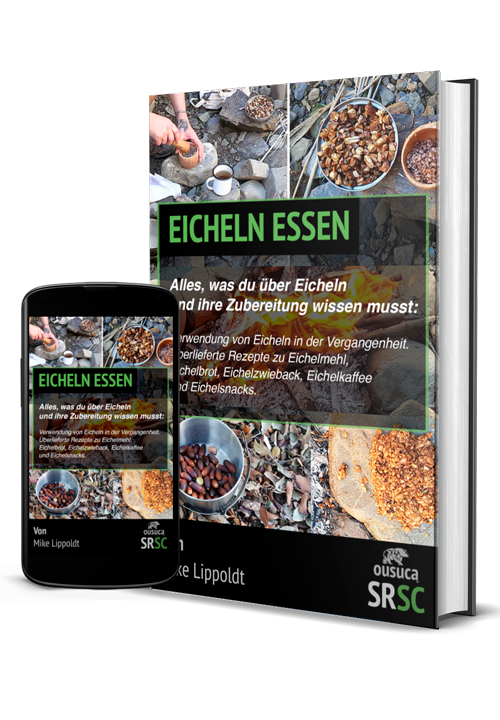 Eicheln essen: Traditionelle Verarbeitung und Rezepte