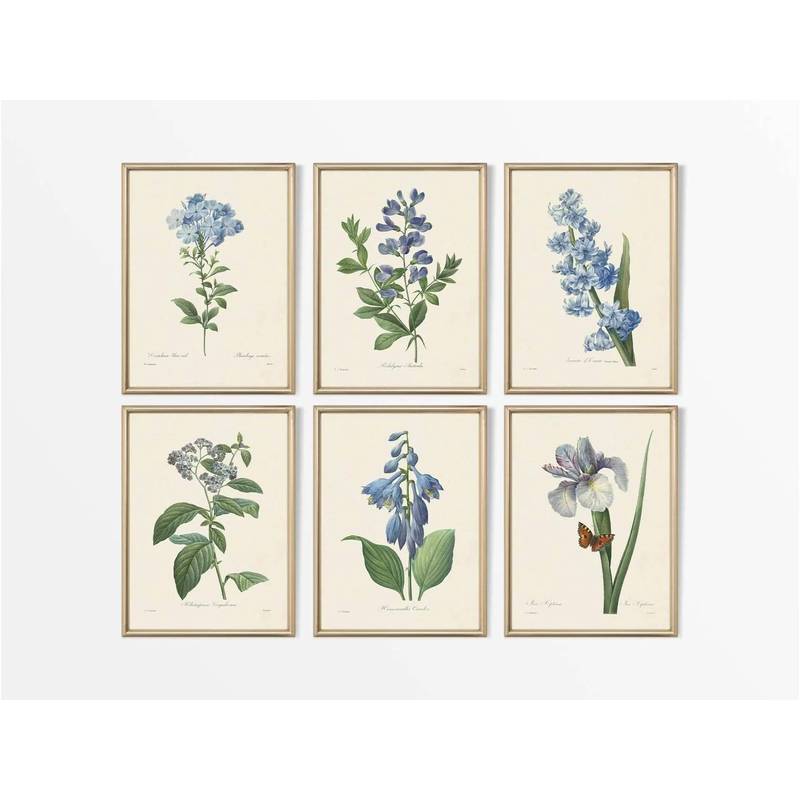 Antique Botanical Flower Drawing Set Poster No Frame Canvas Wall Art Painting Neutral Farmhouse Bedroom Decor