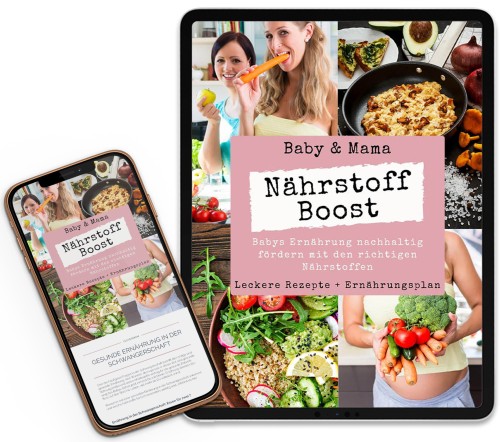 Nährstoff-Boost für Schwangerschaft & Geburt