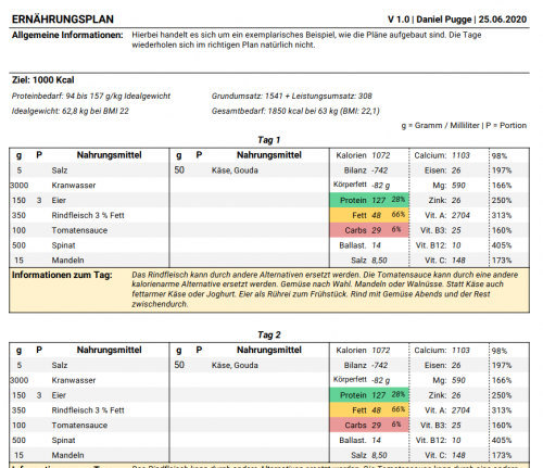 Professioneller individueller Ernährungsplan