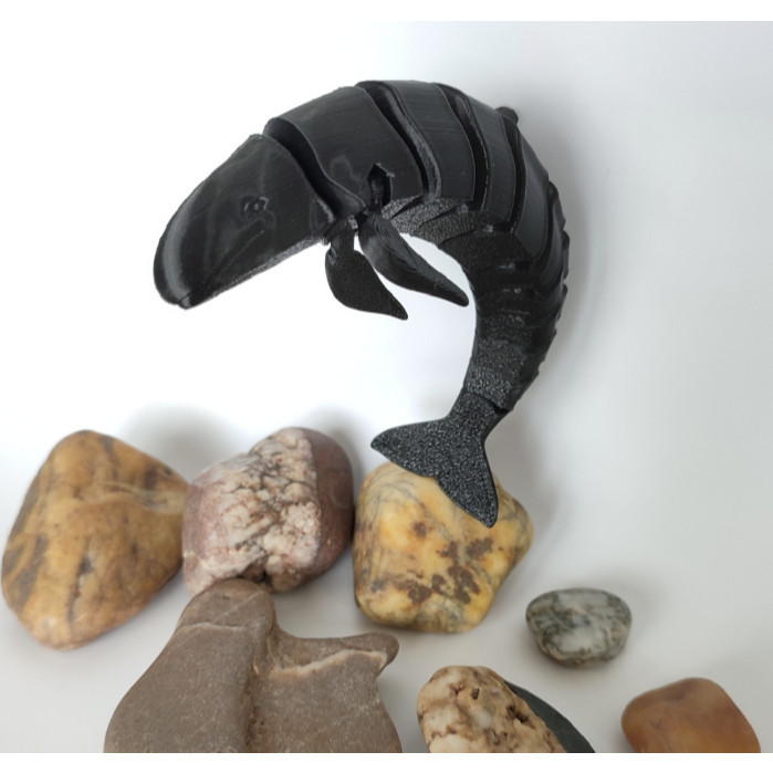 Brinquedo Falso Killer Whale Flexi 13 cm-Plástico Ecológico , Educação E Coleção