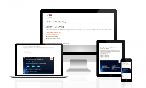 Der MPU Masterplan - Online auf die Alkohol MPU vorbereiten