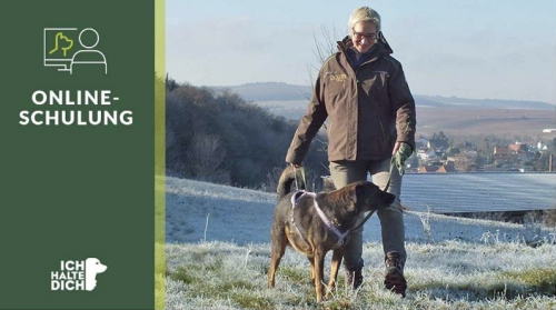 Führen nach Cordt - DER Online-Kurs für Hundehalter