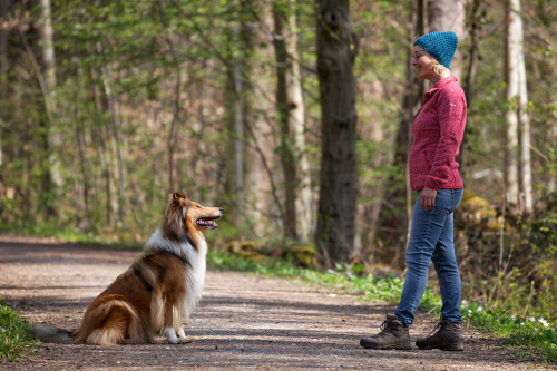 Hundeschule / Hundetraining - Mit Hunden sprechen