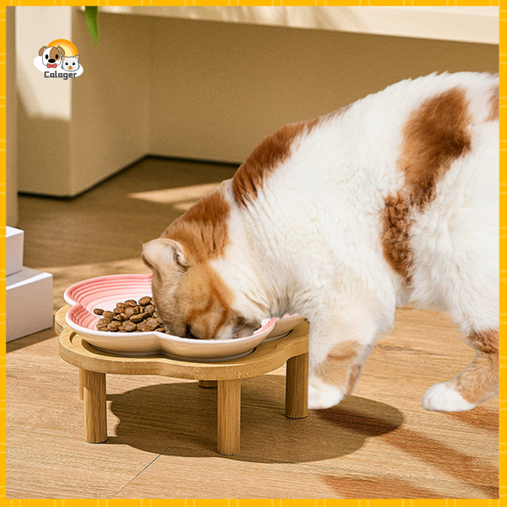 Elevated Cat Food Bowls Ceramic Pet Feeding Dish Bowl with Raised Stand Flower Shape Whisker Anti-slip Dog Plate Neck fo