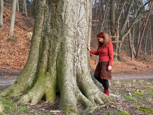 Videokurs Geomantie / Geokultur