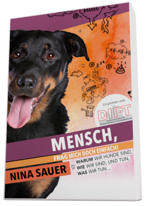 Online Hundeschule - Kompaktkurs Hundepsychologie